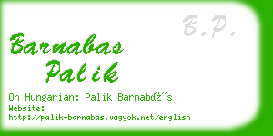 barnabas palik business card